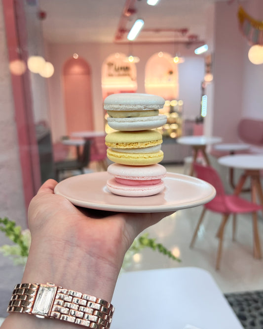 MACARONS🌸 x6 unids - Colores