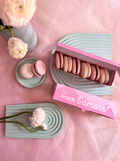 MACARONS🌸 x6 unids