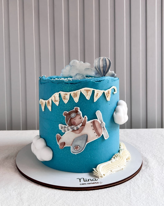 OSITO CAKE- Avioncito